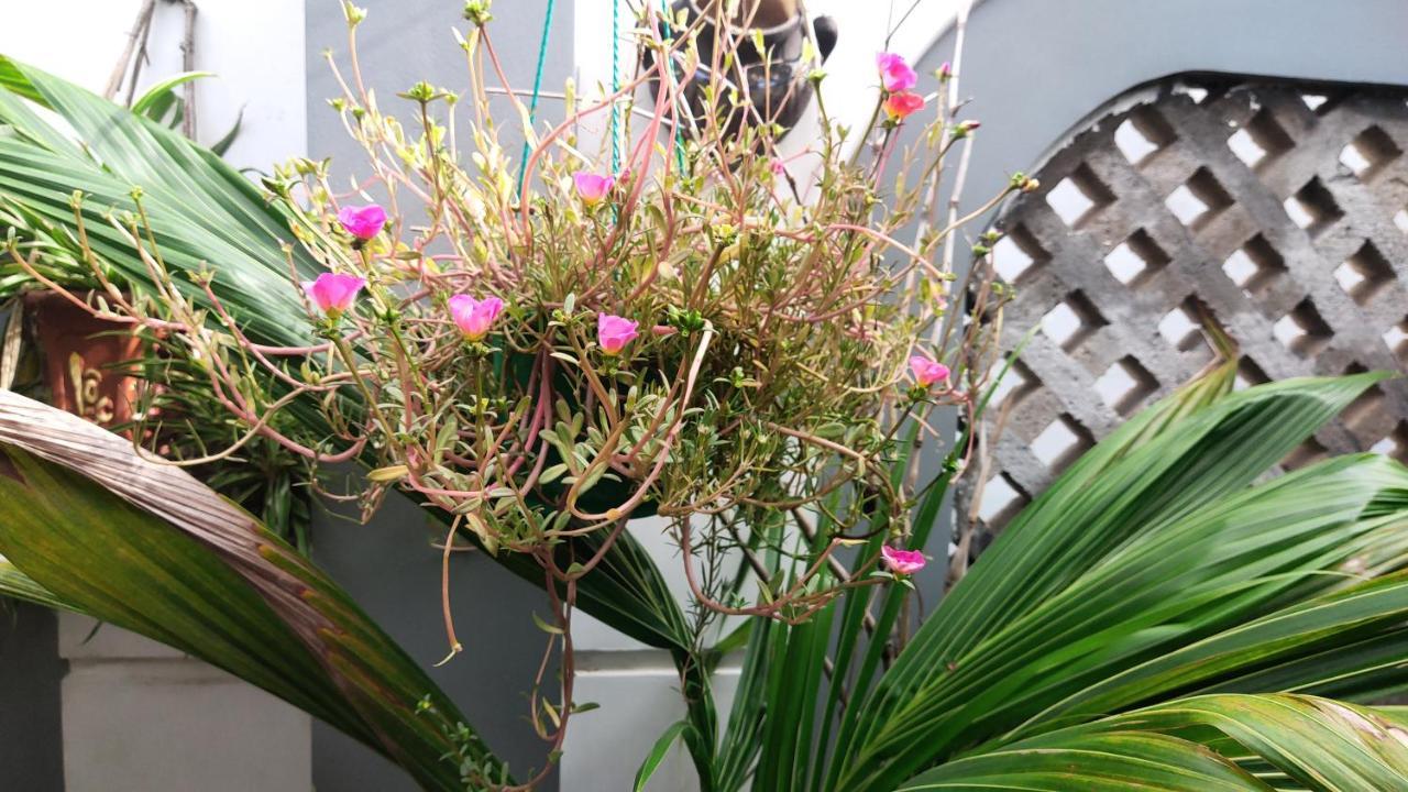 Homestay Nha Muoi Quy Nhon Luaran gambar